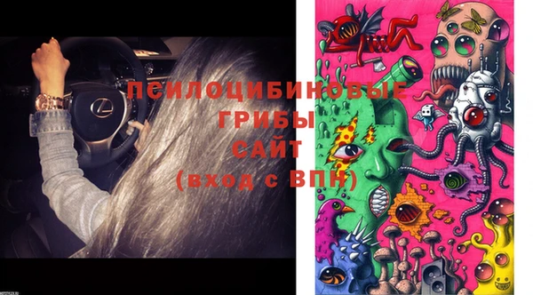 спайс Новодвинск