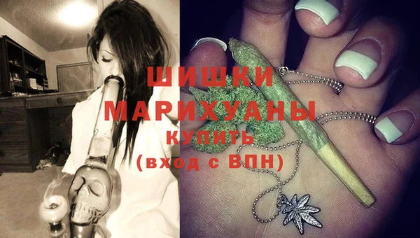 спайс Новодвинск