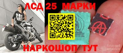 шишки Краснознаменск