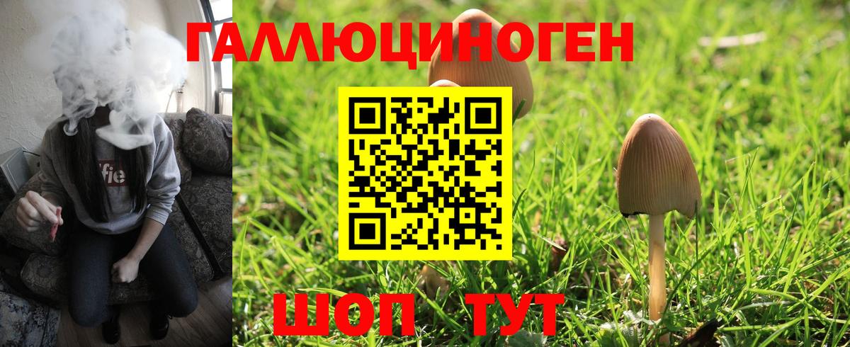Псилоцибиновые грибы мицелий Черногорск